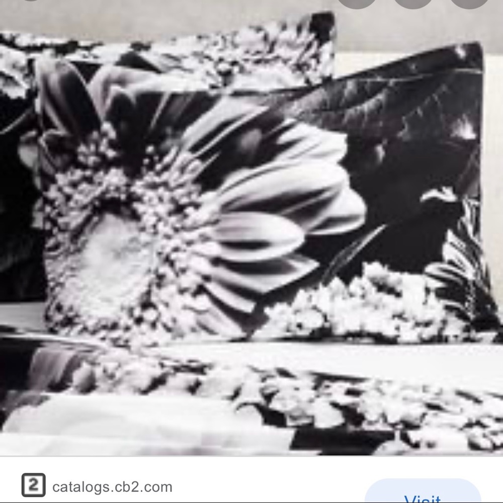 CB2 Black Flora standard pillow sham set (2)